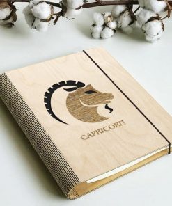 Zodiac diary_Capricorn